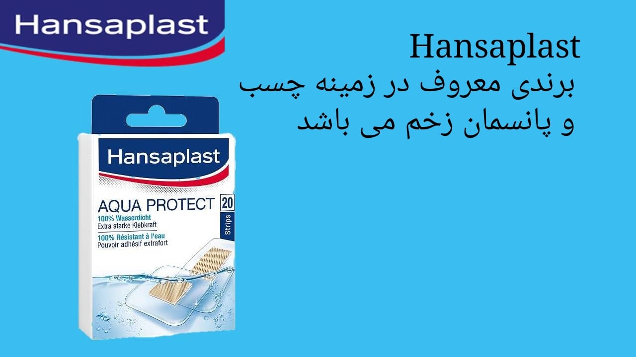 برند هنساپلاست