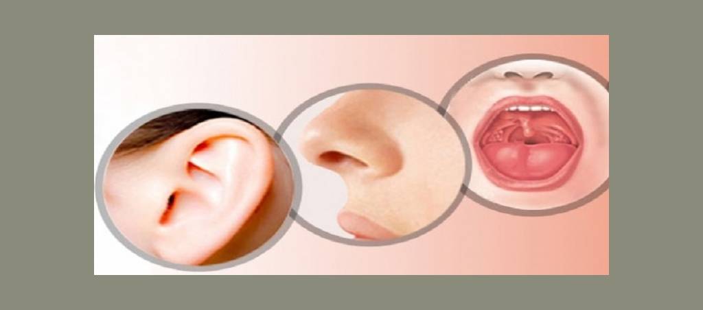 گوش و حلق و بینی